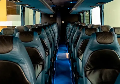 bus-3.webp