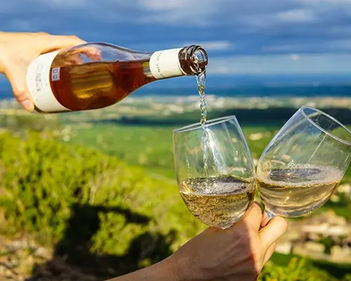 Sparkling Pointe Winery Celebrates 20 Years on the North Fork