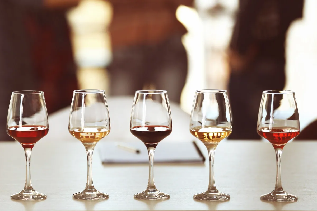 A row of various wine glasses on a table, highlighting the tasting experience at North Fork wineries.