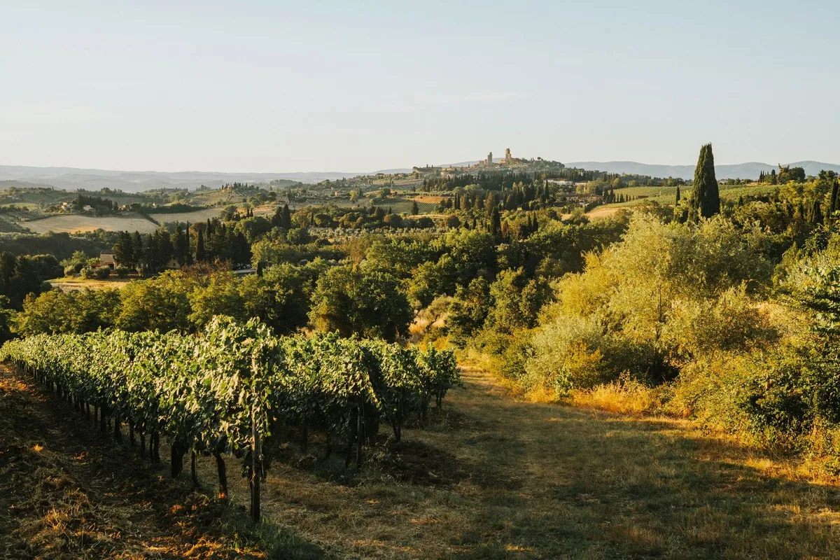 Rolling vineyards and hills in Tuscany glow in warm sunset light, perfect for wine tours and adventure.